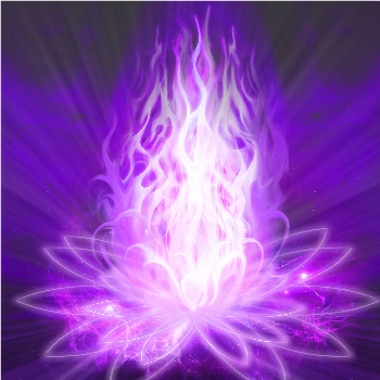 2019new/Violet_Flame_Square_Smaller.jpg