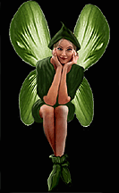 flowers_more/pixie.gif